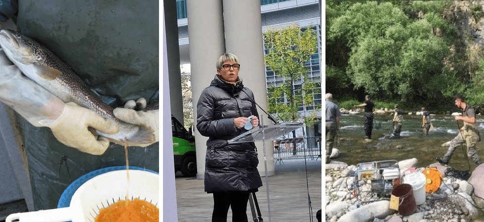 Il pasticcio della Giunta Fugatti che rischia di paralizzare la pesca